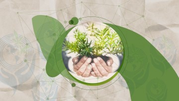 Permanent Chair on Sustainability and Climate Change